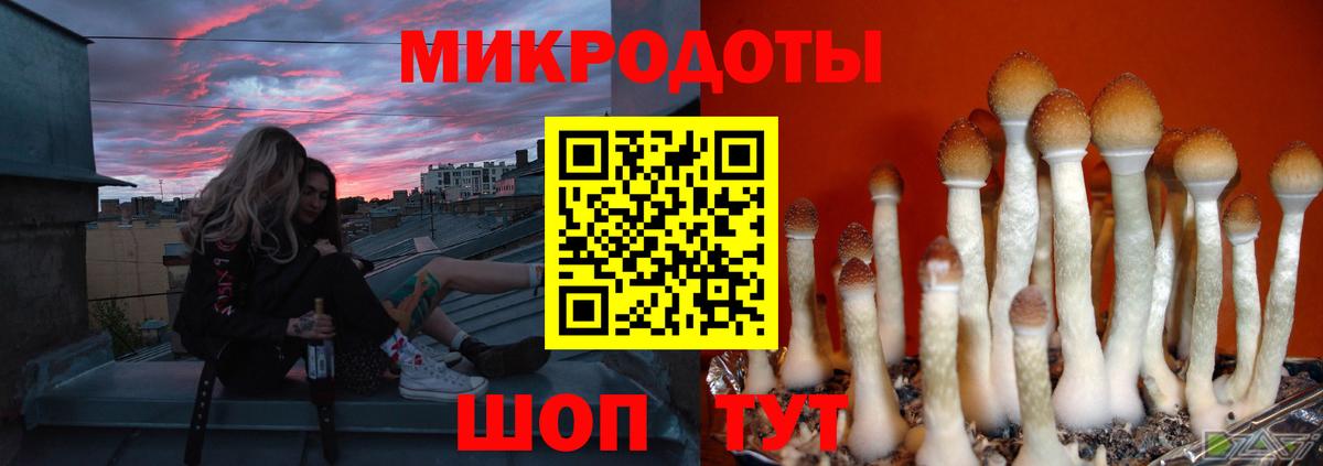 Анжеро-Судженск  Галлюциногенные грибы Psilocybe  Вход с VPN 